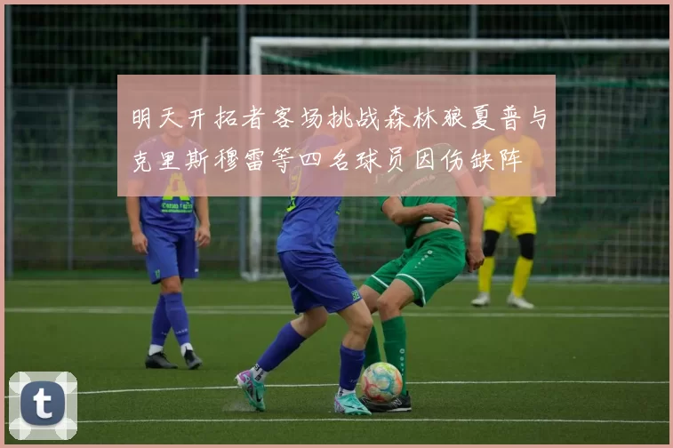 明天开拓者客场挑战森林狼夏普与克里斯穆雷等四名球员因伤缺阵