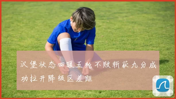 汉堡状态回暖五轮不败斩获九分成功拉开降级区差距