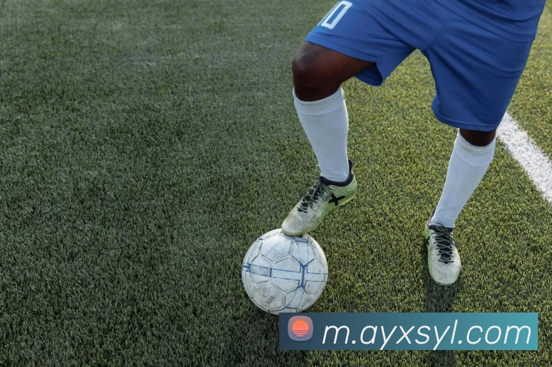 爱游戏体育娱乐APP 高清赛事图